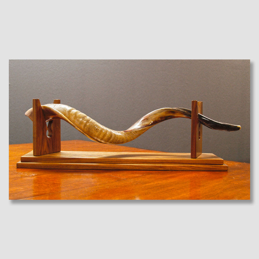 Yemenite Shofars