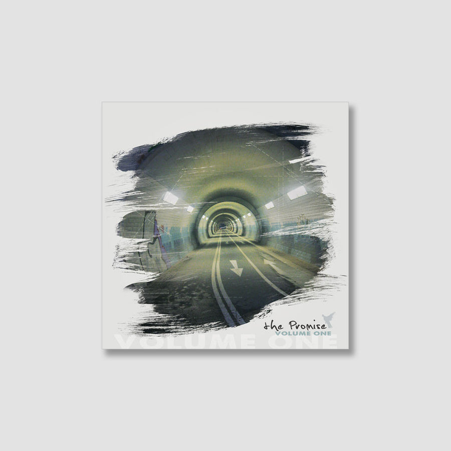 The Promise, Vol. 1